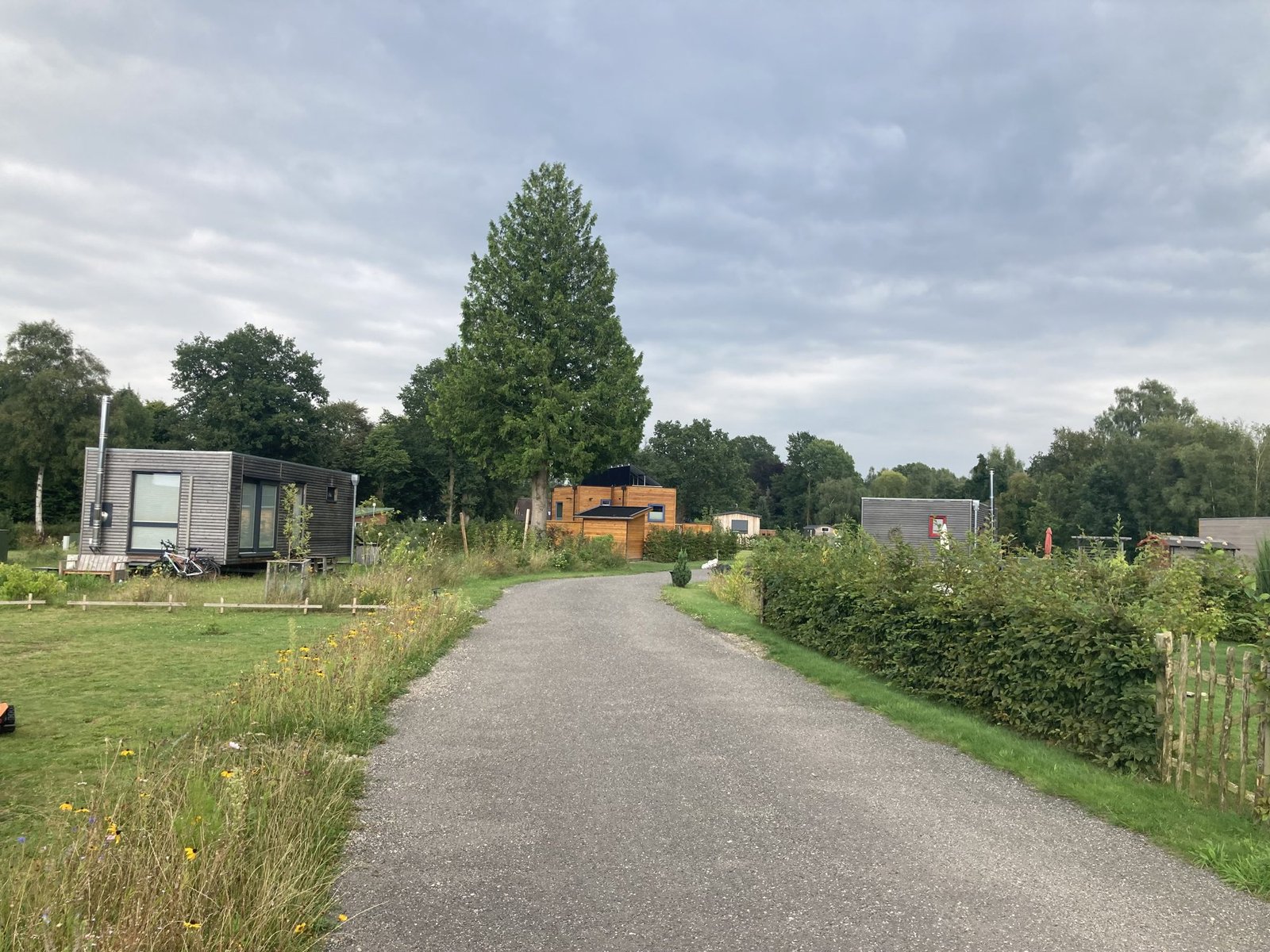 Der Schotterweg durch die Siedlung, gesäumt von Hecken und Tiny Houses