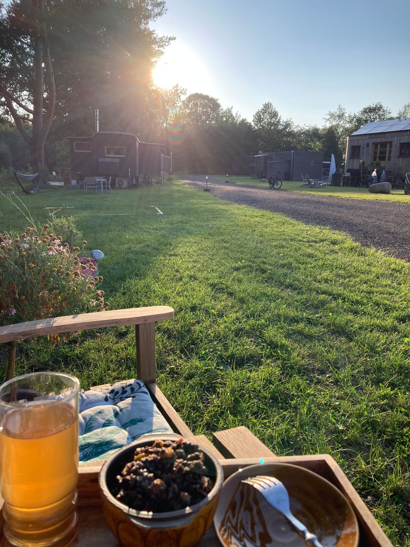 Abendsonne in der Tiny-House-Siedlung