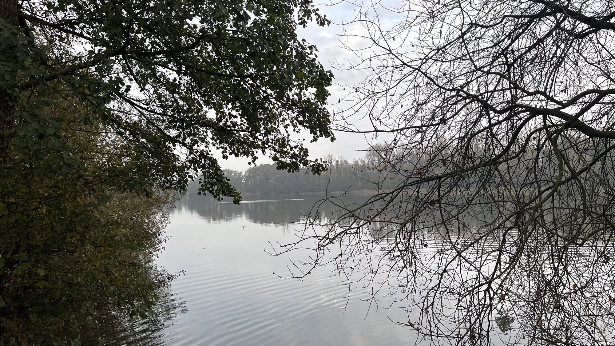Der Itzstedter See an einem ruhigen Morgen