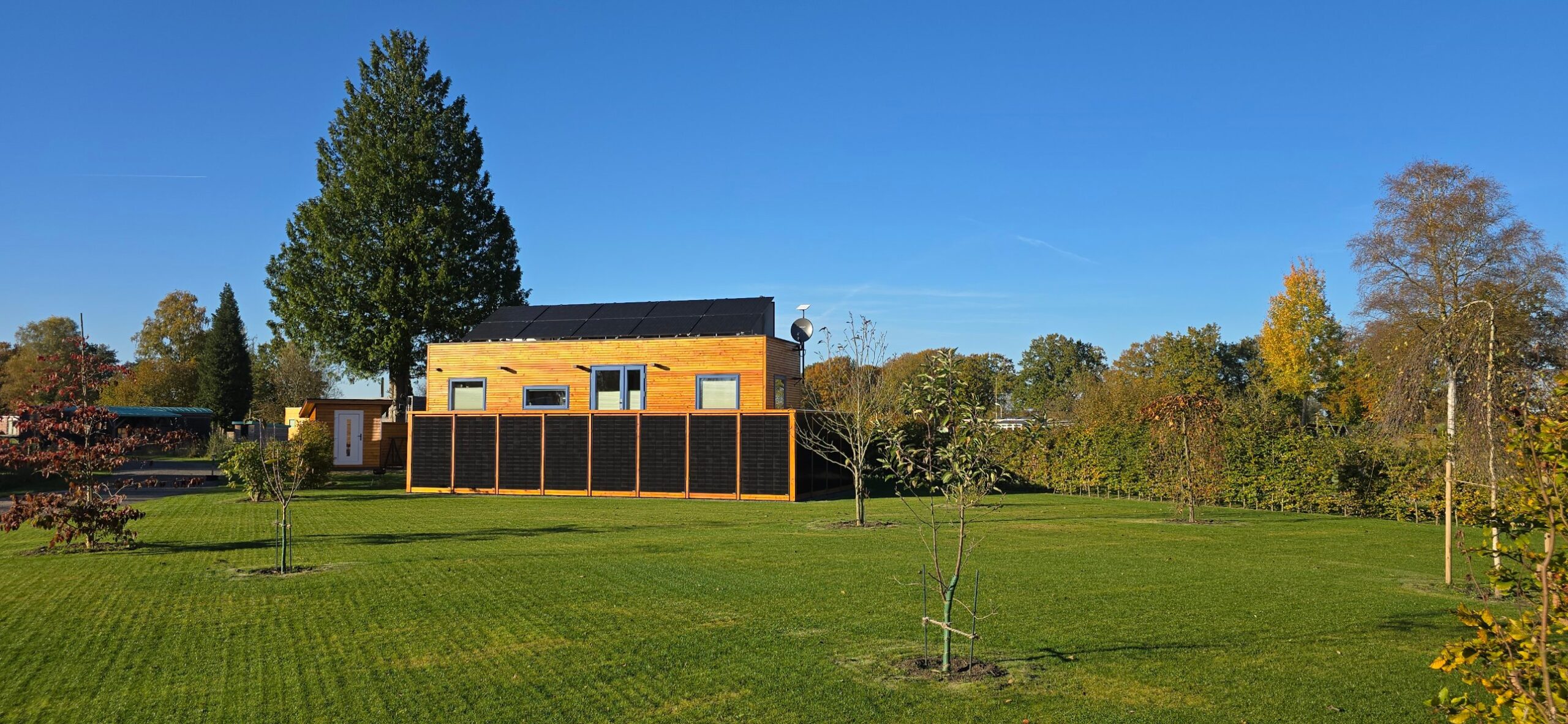 Ein Tiny House mit Holzfassade auf einer weiten Wiese, mit Bäumen in Herbstfarben
